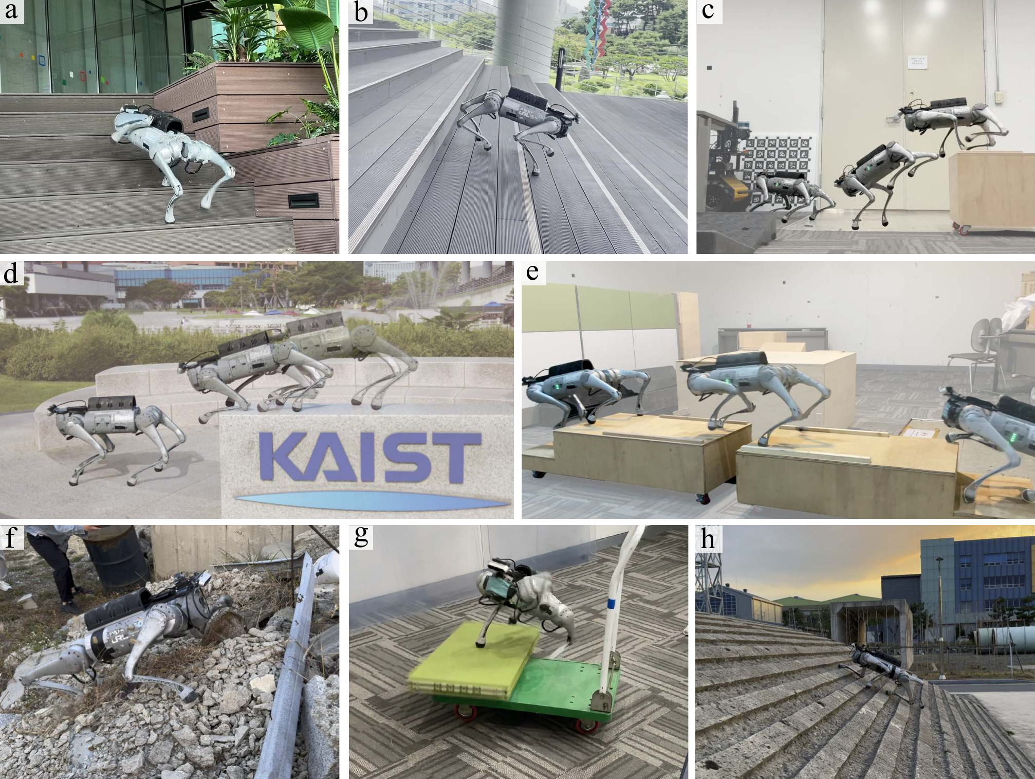 DreamWaQ++ demonstrations across diverse terrains